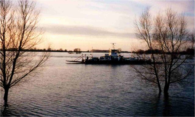 Die Elbe bei Hochwasser