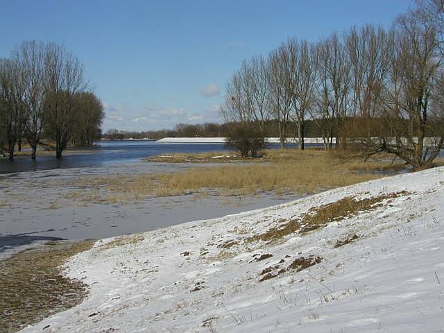 Elblandschaft bei Müllerhafen